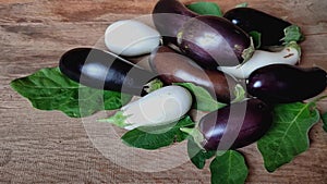 Black and white eggplant or aubergine with leaves on the wooden table