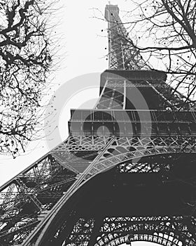 Black and white Eiffel Tower