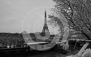 The black and white Eiffel tower with bare trees in winter, Paris, France.