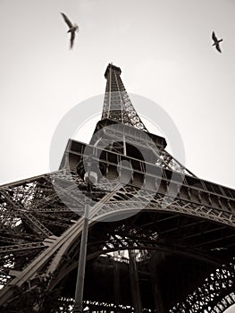 Black and White Eiffel Tower in the City of Paris