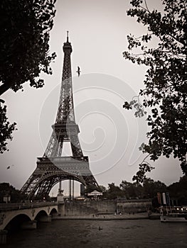 Black and White Eiffel Tower in the City of Paris