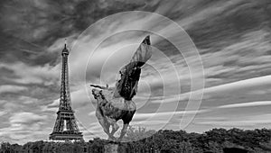 Black and white Eiffel Tower with equestrian statue, Paris, France