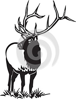 Black and White Elk Illustration