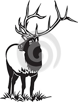 Black and White Elk Illustration photo