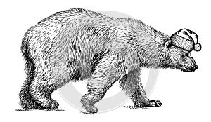 Black and white engrave isolated bear illustration