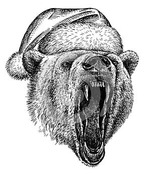 Black and white engrave isolated bear illustration