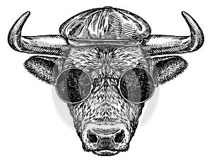 Black and white engrave isolated bull illustration