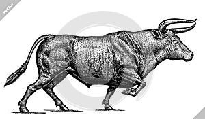 Black and white engrave isolated bull vector illustration