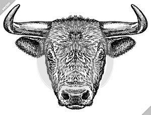 Black and white engrave isolated bull vector illustration