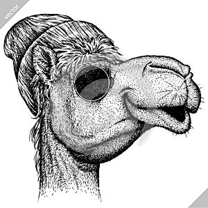 Black and white engrave isolated camel vector illustration