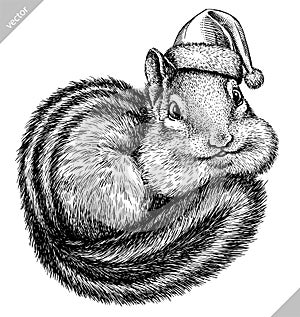 Black and white engrave isolated chipmunk illustration