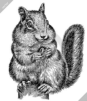 Black and white engrave isolated chipmunk vector illustration