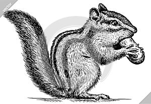 Black and white engrave isolated chipmunk vector illustration