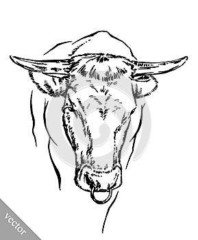 Black and white engrave isolated cow
