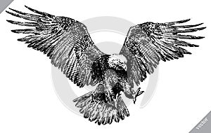 Black and white engrave isolated eagle vector illustration photo