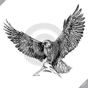 Black and white engrave isolated eagle vector illustration