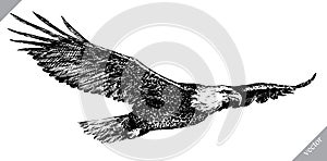 Black and white engrave isolated eagle vector illustration