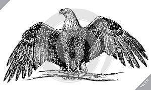 Black and white engrave isolated eagle vector illustration