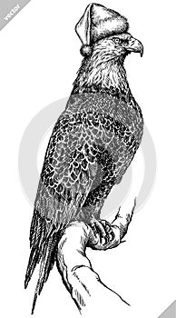 Black and white engrave isolated eagle vector illustration