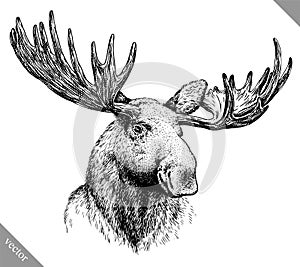 Black and white engrave isolated elk hand draw vector illustration