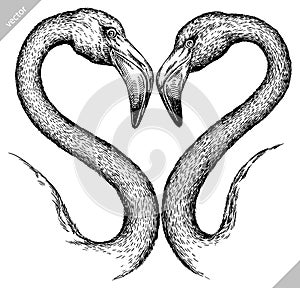 black and white engrave isolated flamingo vector illustration