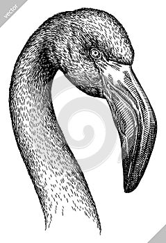 black and white engrave isolated flamingo vector illustration