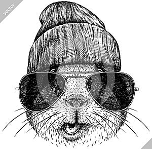 black and white engrave isolated guinea pig vector illustration