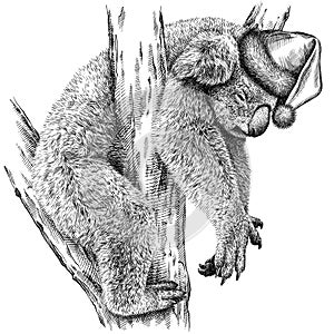 Black and white engrave isolated Koala illustration