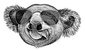 Black and white engrave isolated Koala illustration