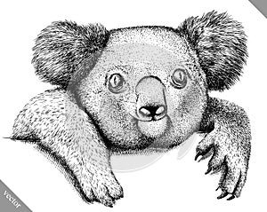 Black and white engrave isolated Koala vector illustration