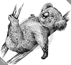 Black and white engrave isolated Koala vector illustration