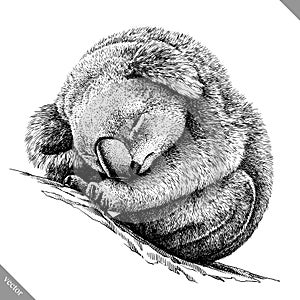 Black and white engrave isolated Koala vector illustration