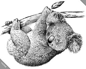Black and white engrave isolated Koala vector illustration
