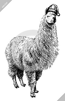 Black and white engrave isolated Lama illustration