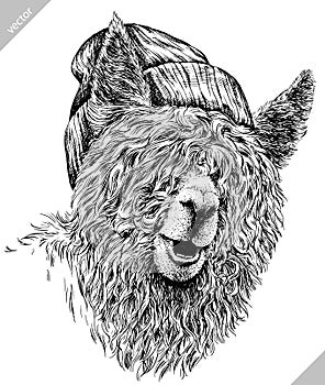 Black and white engrave isolated Lama illustration