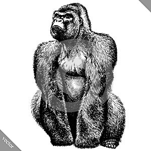 Black and white engrave isolated monkey vector illustration photo