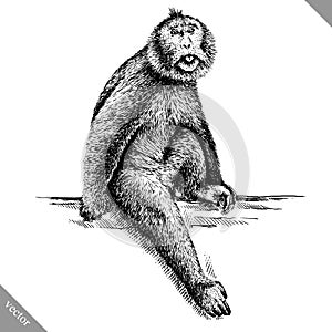 Black and white engrave isolated monkey vector illustration