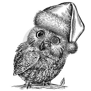 Black and white engrave isolated owl illustration