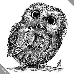 Black and white engrave isolated owl vector illustration photo