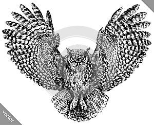 Black and white engrave isolated owl vector illustration