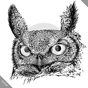 Black and white engrave isolated owl vector illustration