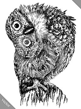 Black and white engrave isolated owl vector illustration