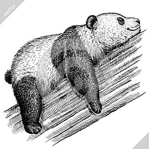 Black and white engrave isolated panda vector illustration