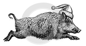 Black and white engrave isolated pig illustration