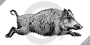 Black and white engrave isolated pig vector illustration