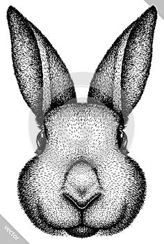 Black and white engrave isolated rabbit vector illustration