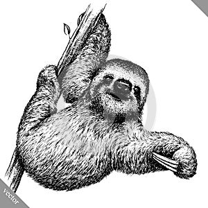 Black and white engrave isolated sloth vector illustration