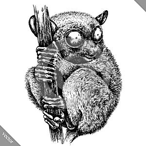 Black and white engrave isolated tarsier vector illustration