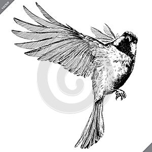 Black and white engrave isolated tit vector illustration