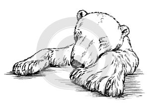 Black and white engrave isolated vector bear